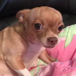 Meet your Posher, Angie